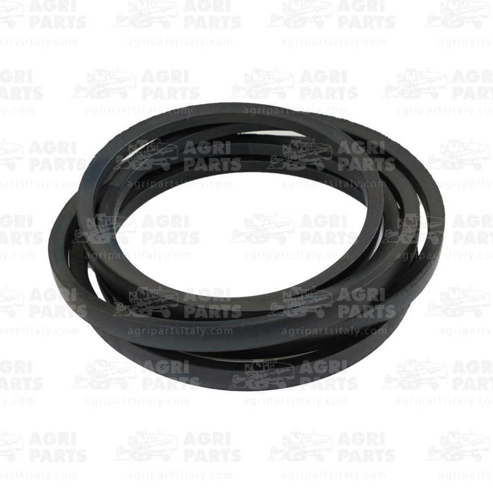 17AP000442 - CINGHIA TRAPEZOIDALE - 17AP000442