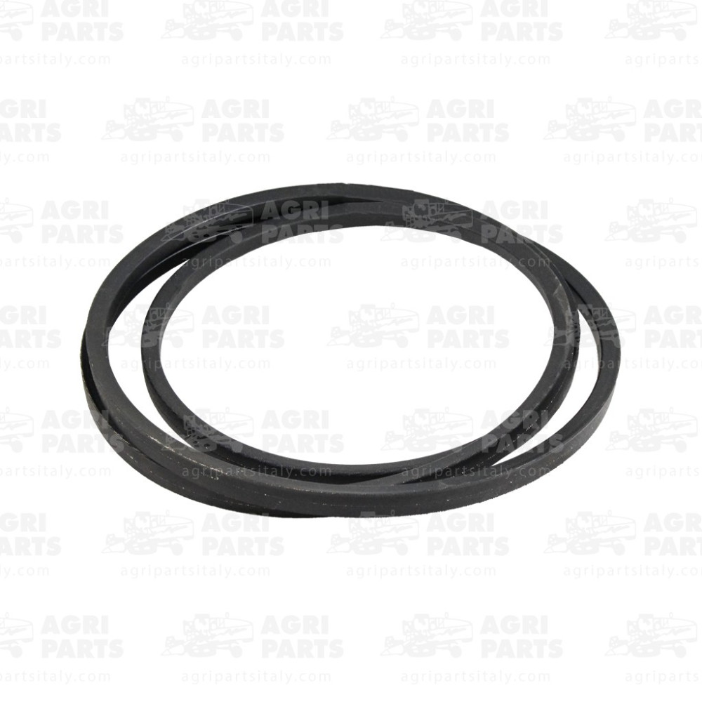 17AP000446 - CINGHIA - 17AP000446