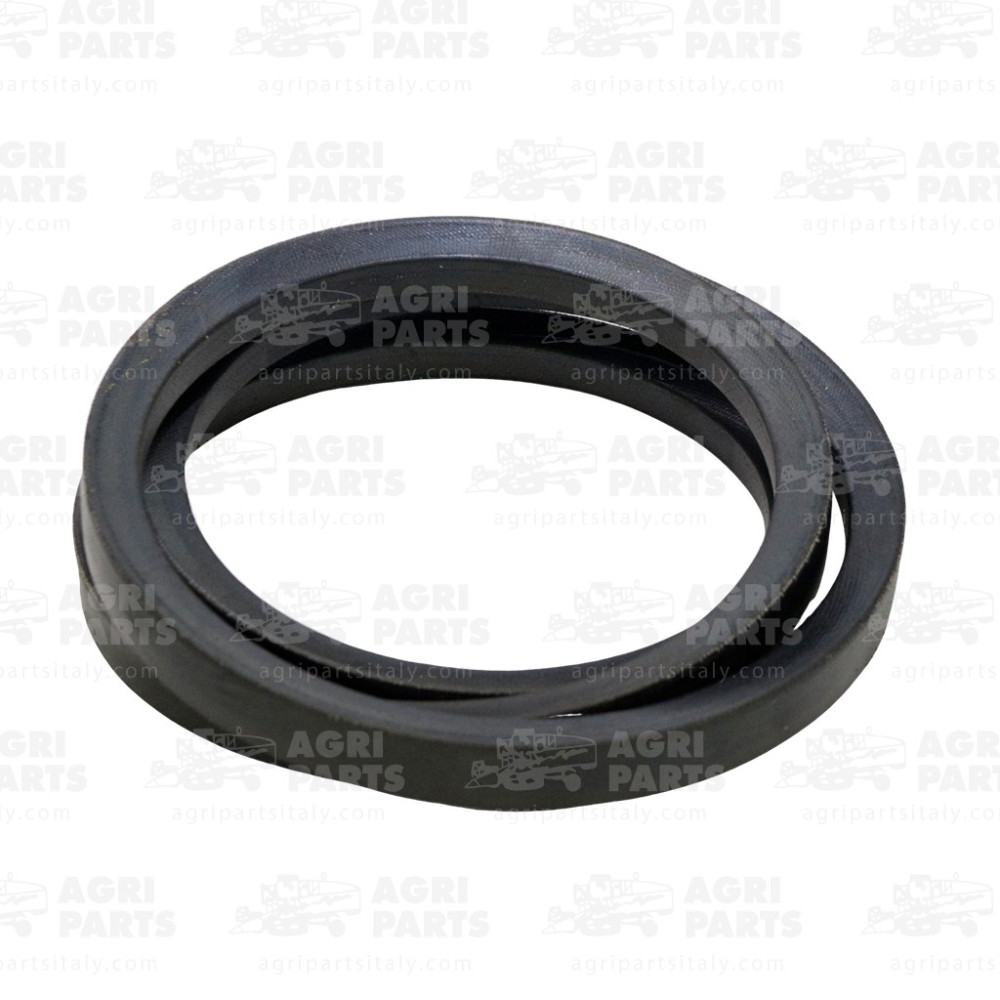 1979606C1 - BELT - 1979606C1CNH