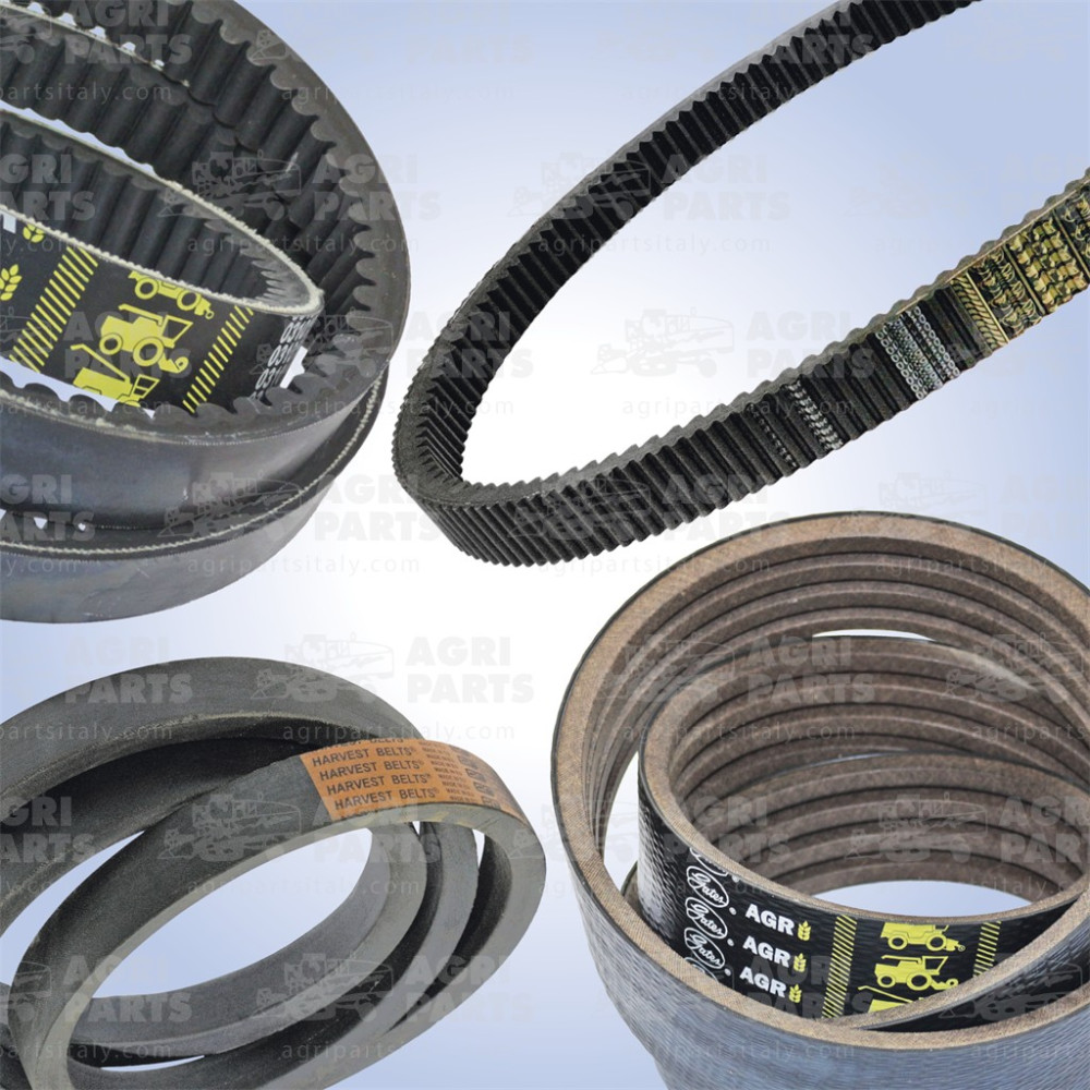 17AP000461 - SET CINGHIE - 17AP000461