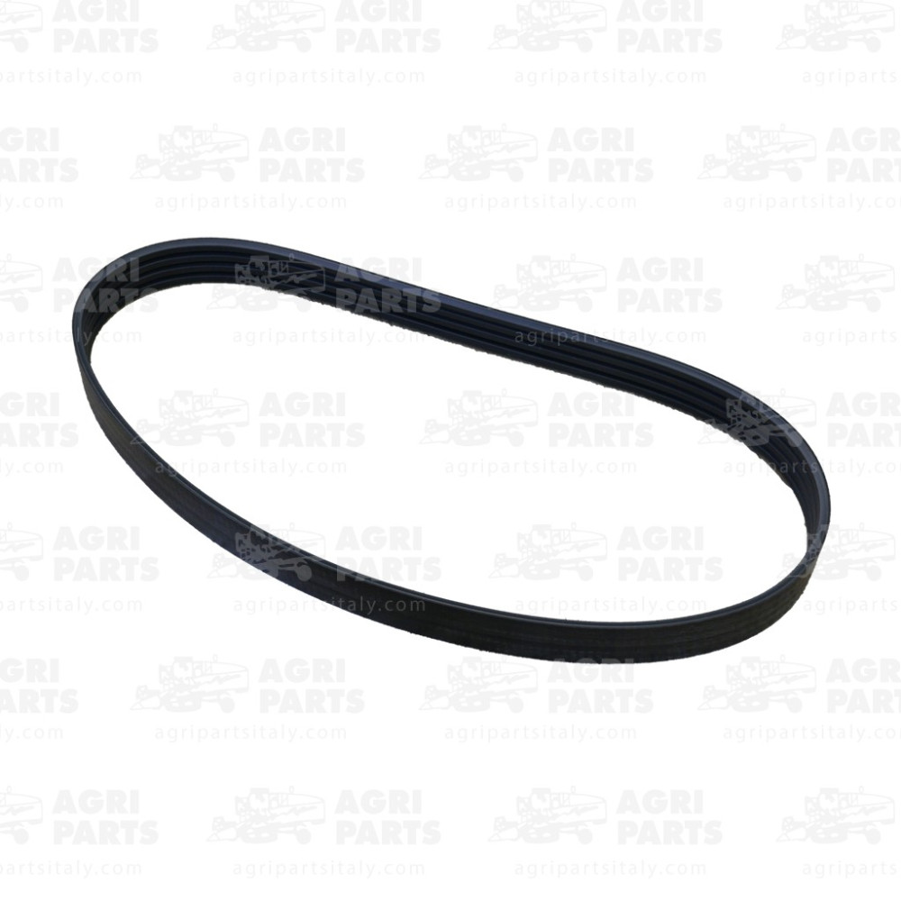 17AP000470 - CINGHIA - 17AP000470