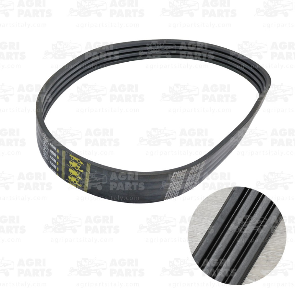 17AP000488 - CINGHIA - 17AP000488