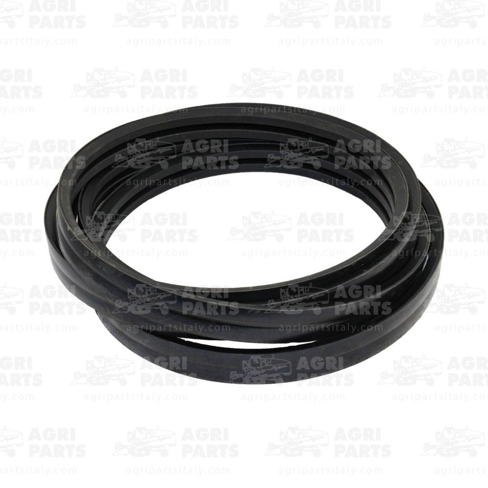 17AP000506 - CINGHIA - 17AP000506