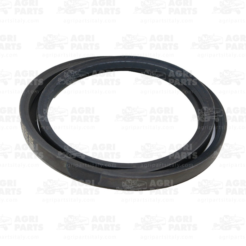 17AP000508 - CINGHIA - 17AP000508