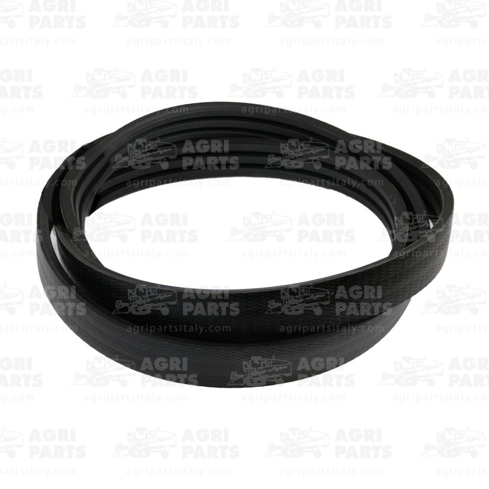 344311232 - RIEMEN - LA344311232AG