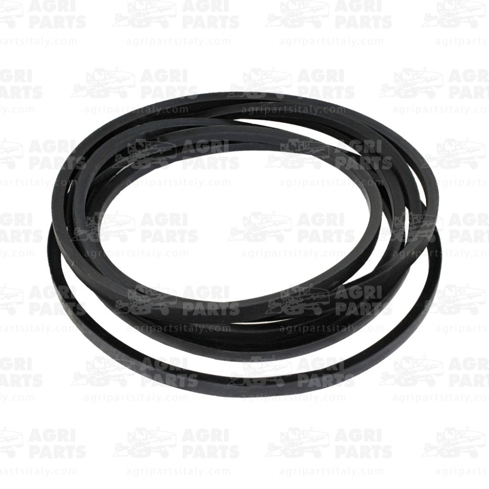 17AP000519 - RIEMEN - 17AP000519