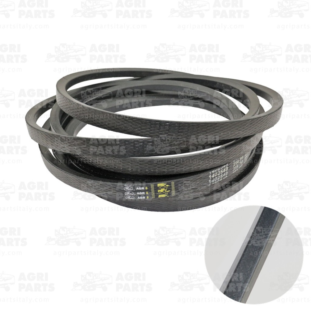 17AP000520 - CINGHIA - 17AP000520