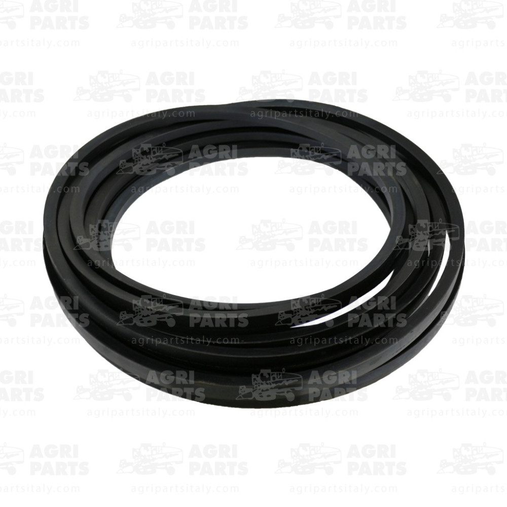 17AP000521 - COPPIA CINGHIE - 17AP000521