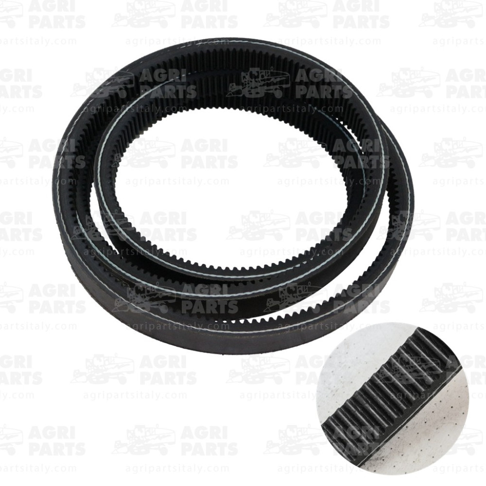 17AP000524 - CINGHIA MULTIPLA - 17AP000524