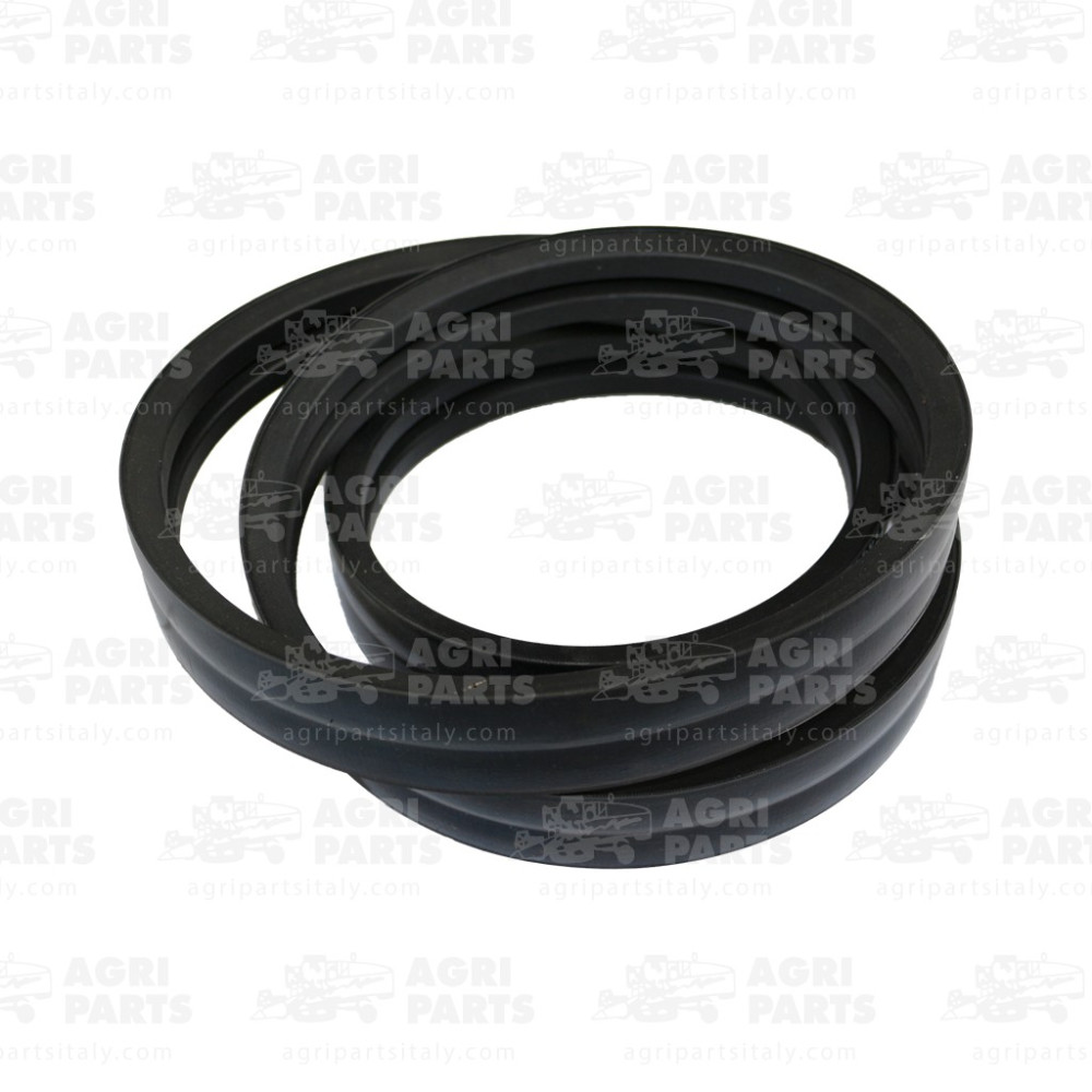 17AP000525 - CINGHIA MULTIPLA - 17AP000525