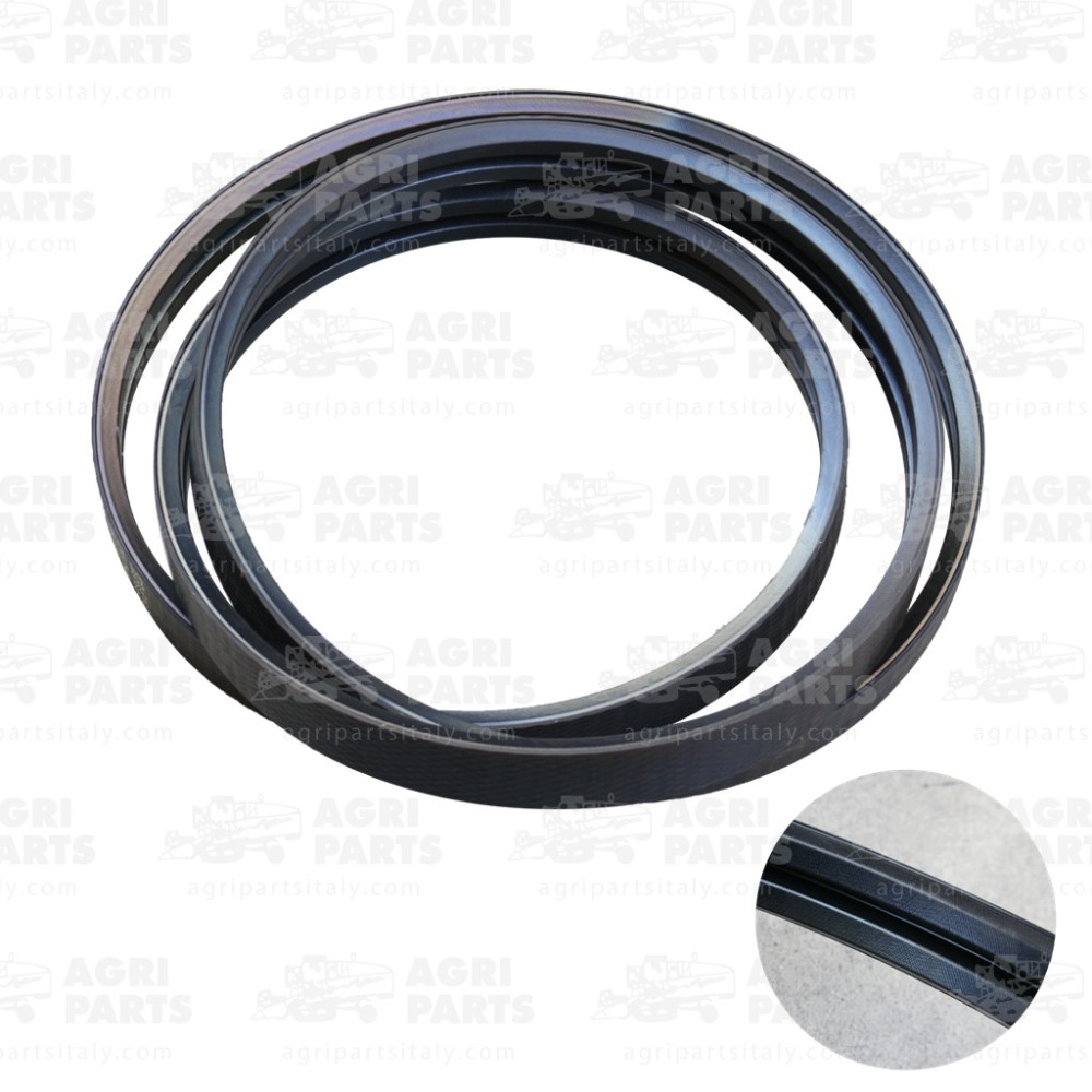 17AP000534 - CINGHIA MULTIPLA - 17AP000534