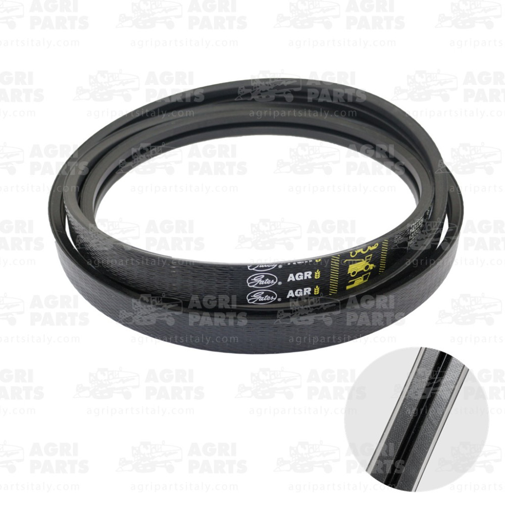 17AP000536 - CINGHIA MULTIPLA - 17AP000536