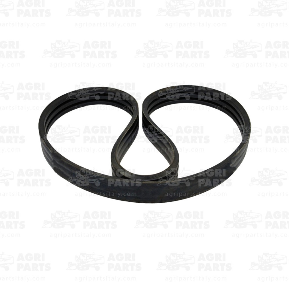 17AP000549 - CINGHIA MULTIPLA - 17AP000549