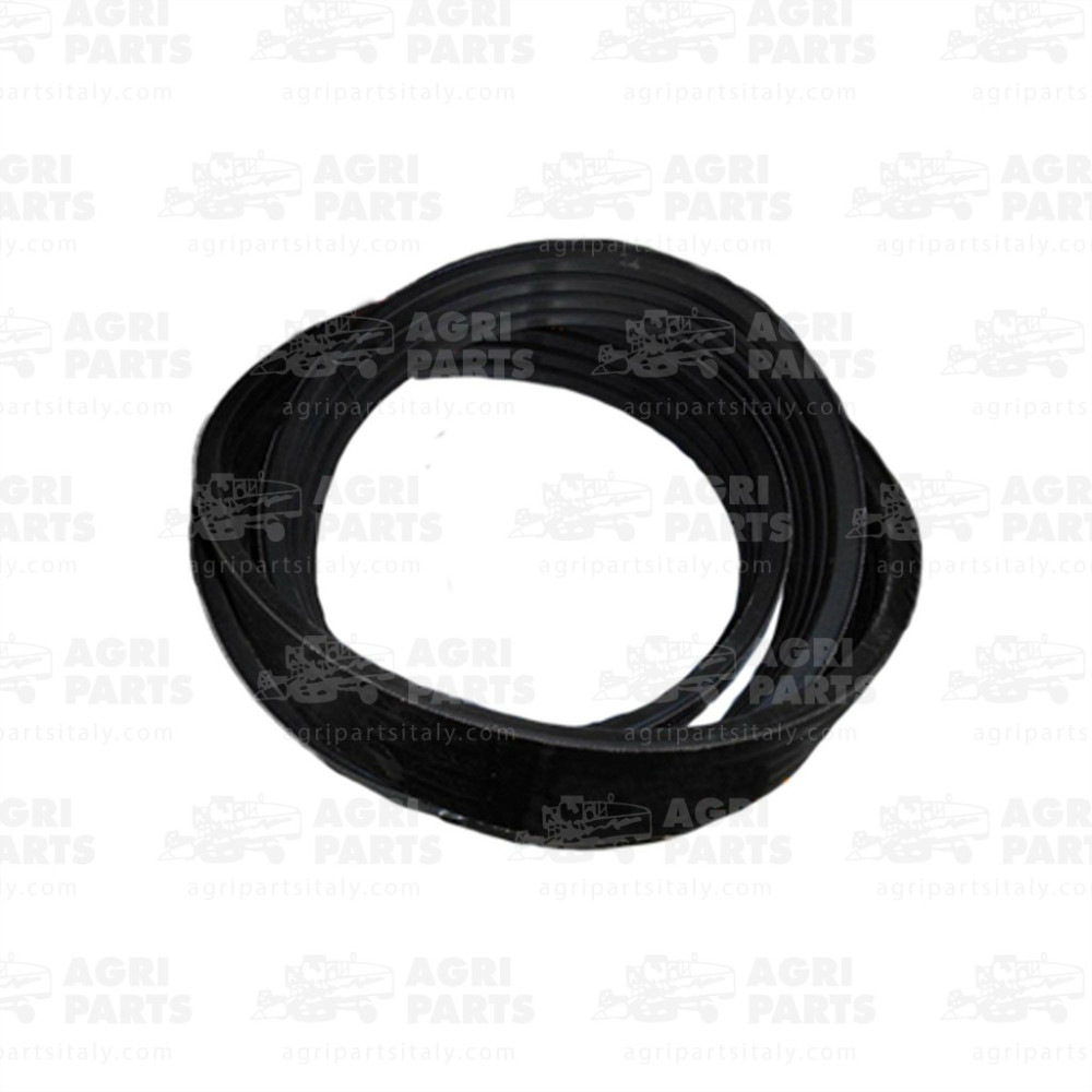 17AP000552 - CINGHIA MULTIPLA - 17AP000552