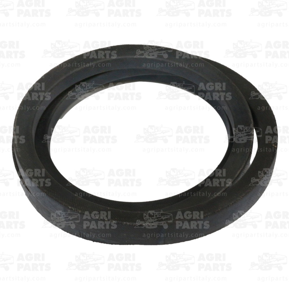 17AP000554 - CINGHIA - 17AP000554