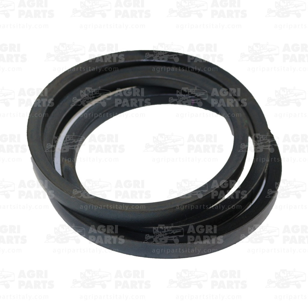 17AP000555 - CINGHIA - 17AP000555