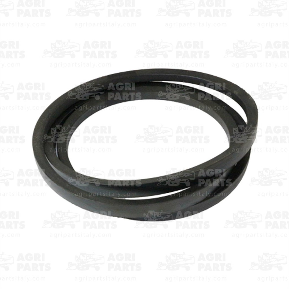 17AP000564 - CINGHIA - 17AP000564