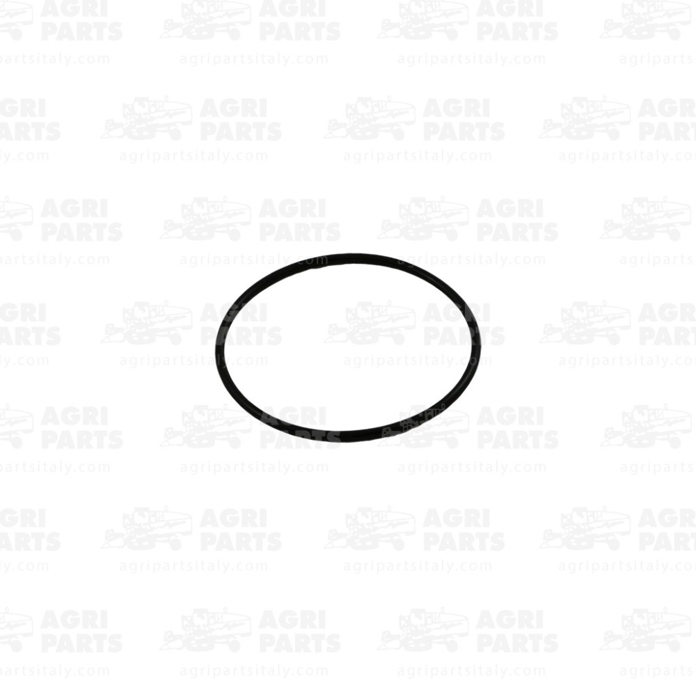 165216 - O-RING - 165216CNH