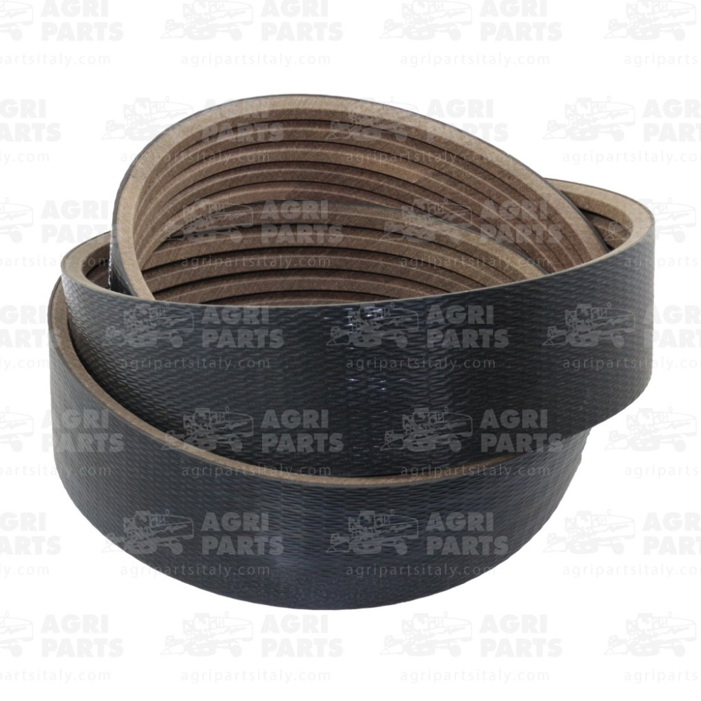 17AP000611 - CINGHIA MULTIPLA - 17AP000611