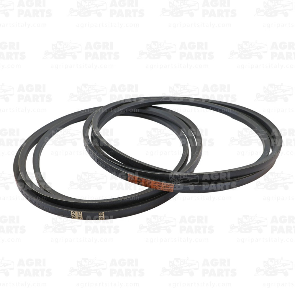 4954310 - COPPIA CINGHIE - 0004954310CL