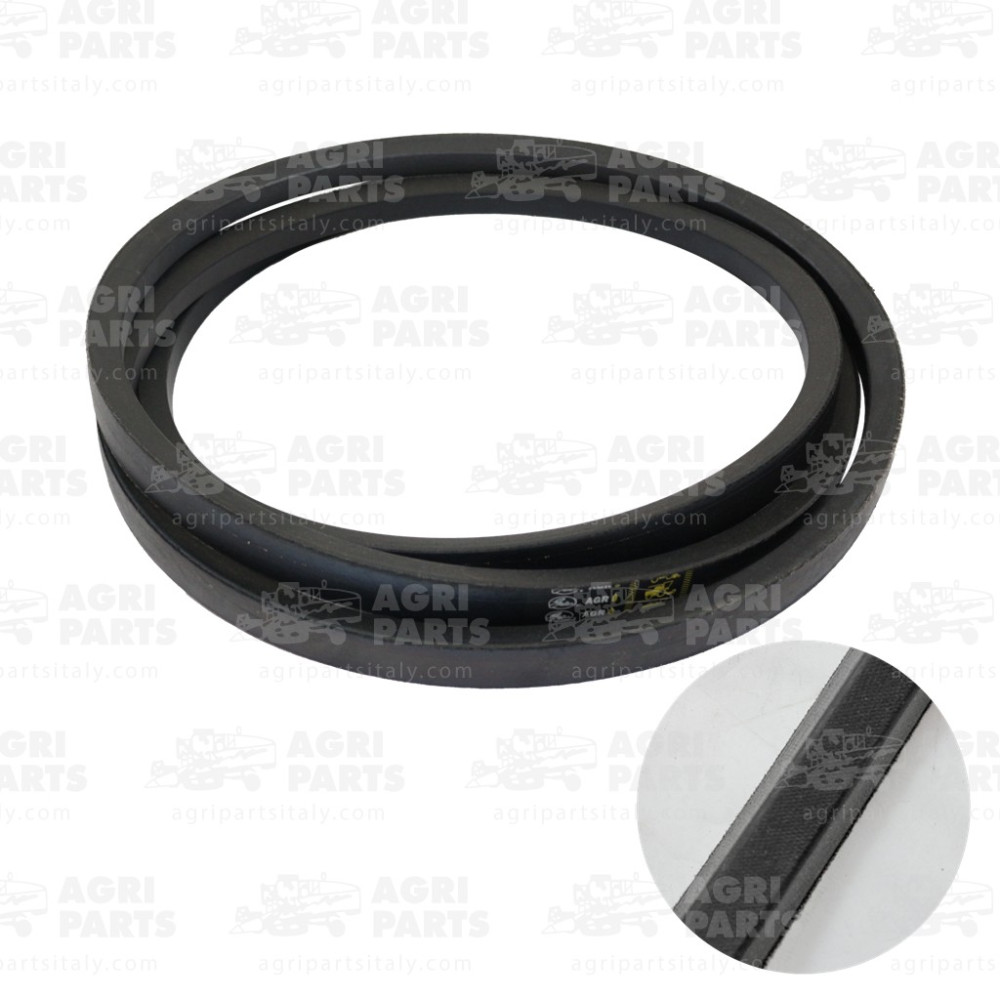 18AP000750 - CINGHIA - 18AP000750