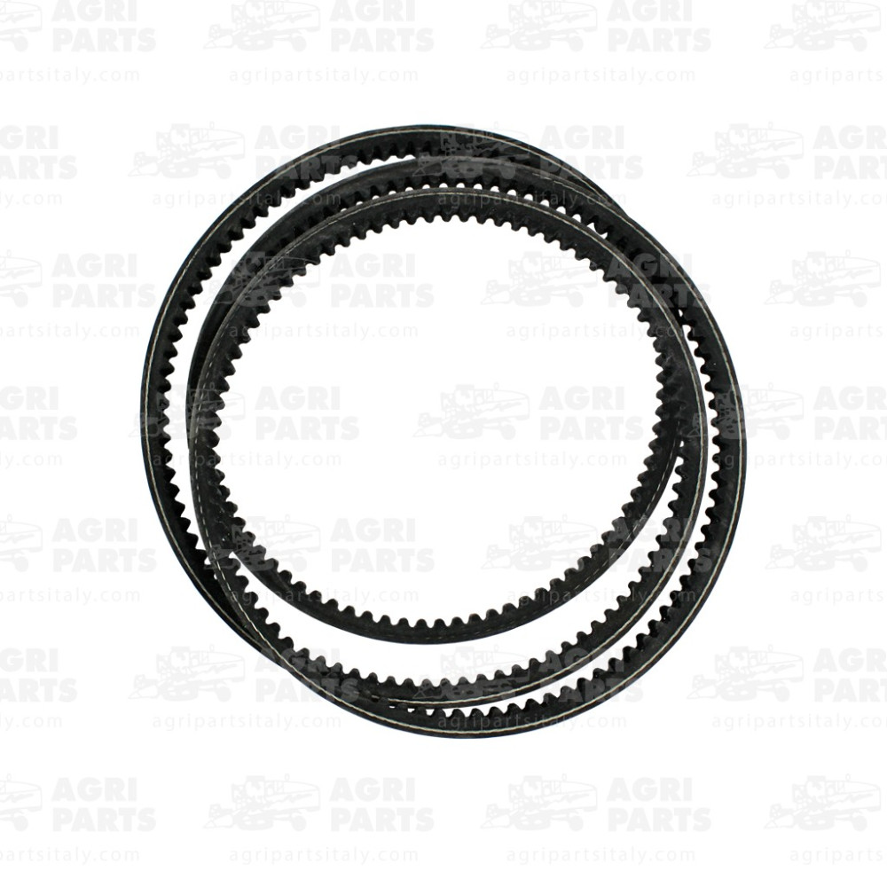 432642 - CINGHIA DENTATA - 432642CNH