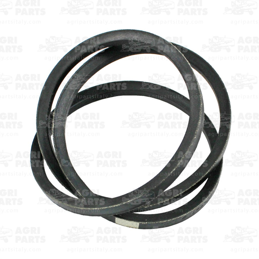 0569610 - RIEMEN - 0000569610CL