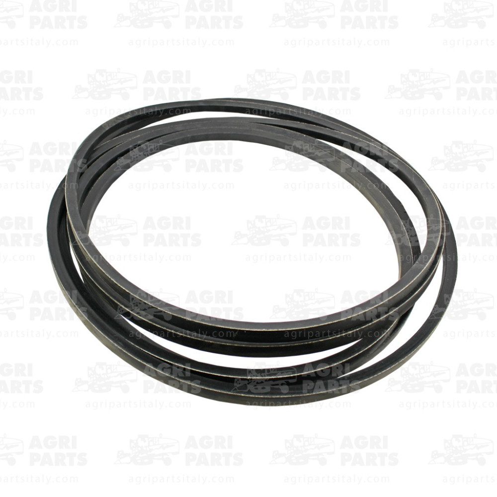 0613531 - KEILRIEMEN - 0000613531CL