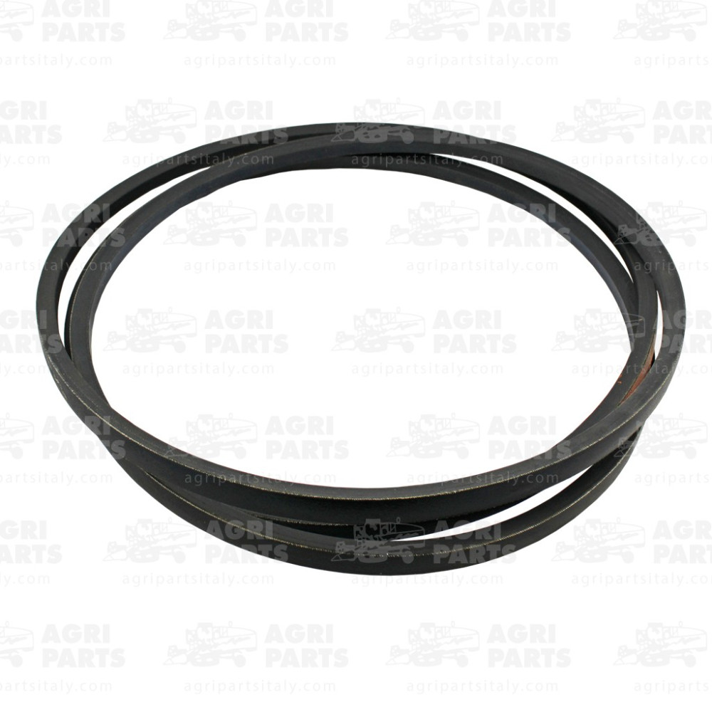 0617012 - CINGHIA - 0000617012CL