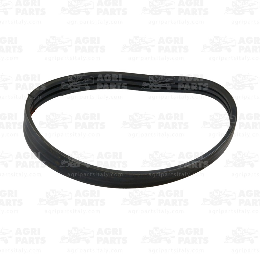 1765431 - RIEMEN - 0001765431CL