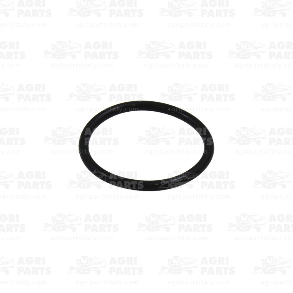 2114900 - RUNDDICHTRING - 0002114900CL