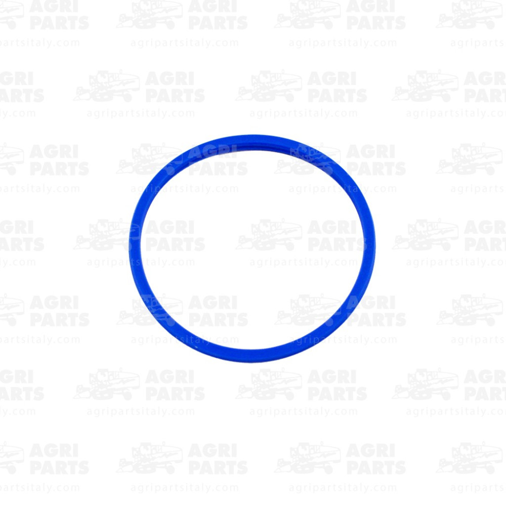 2180060 - DICHTUNG - 0002180060CL