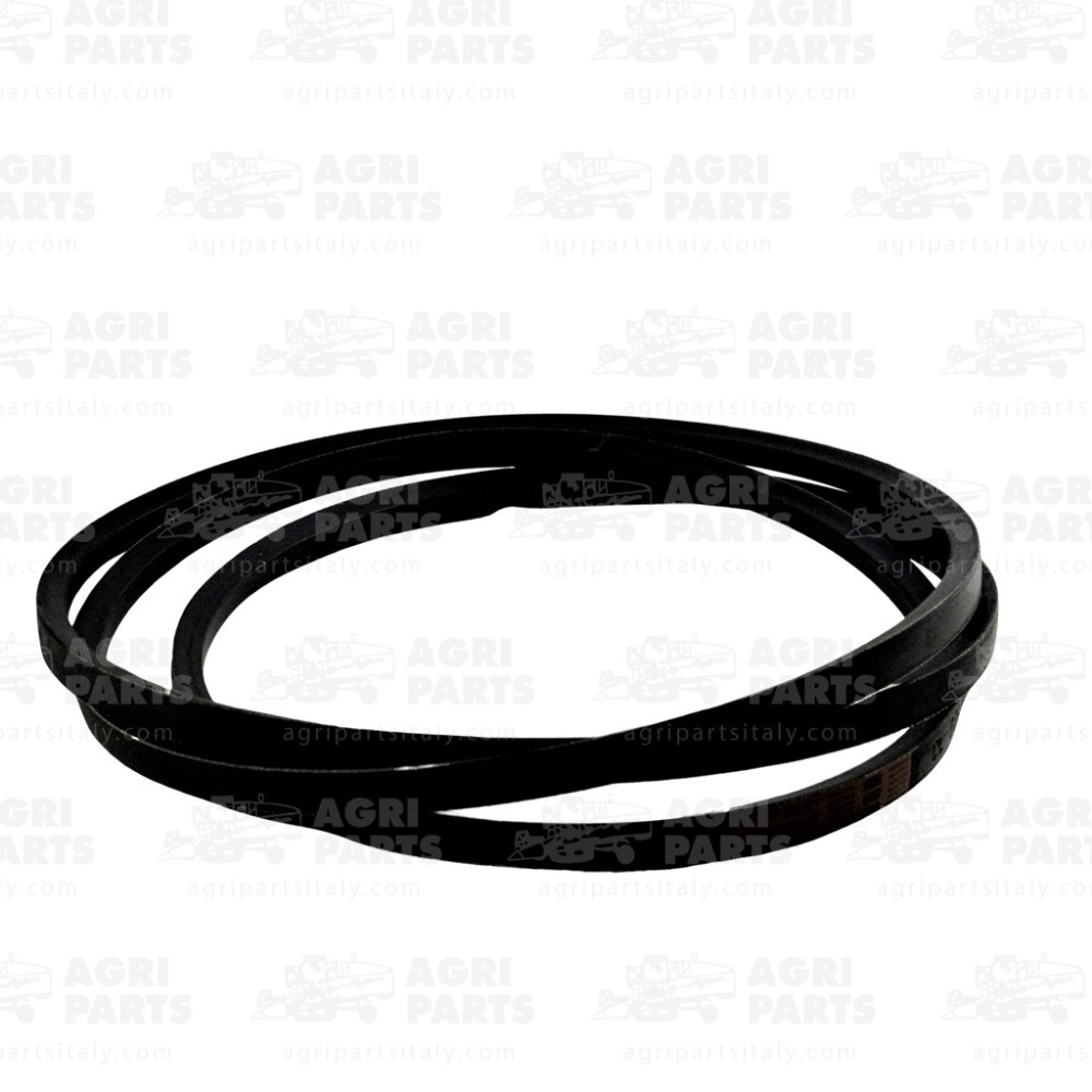 5543650 - KEILRIEMEN - 0005543650CL