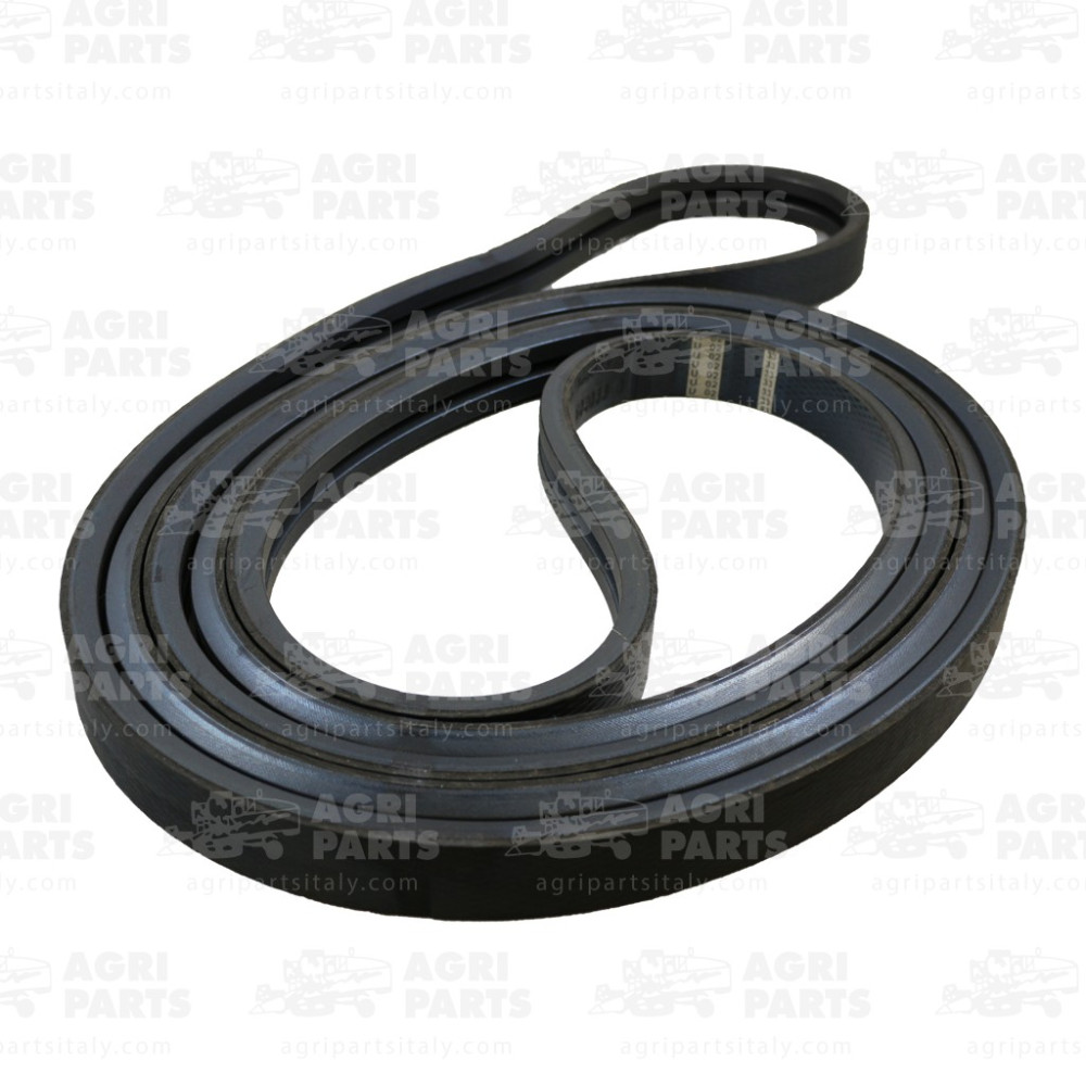 6030330 - CINGHIA - 0006030330CL