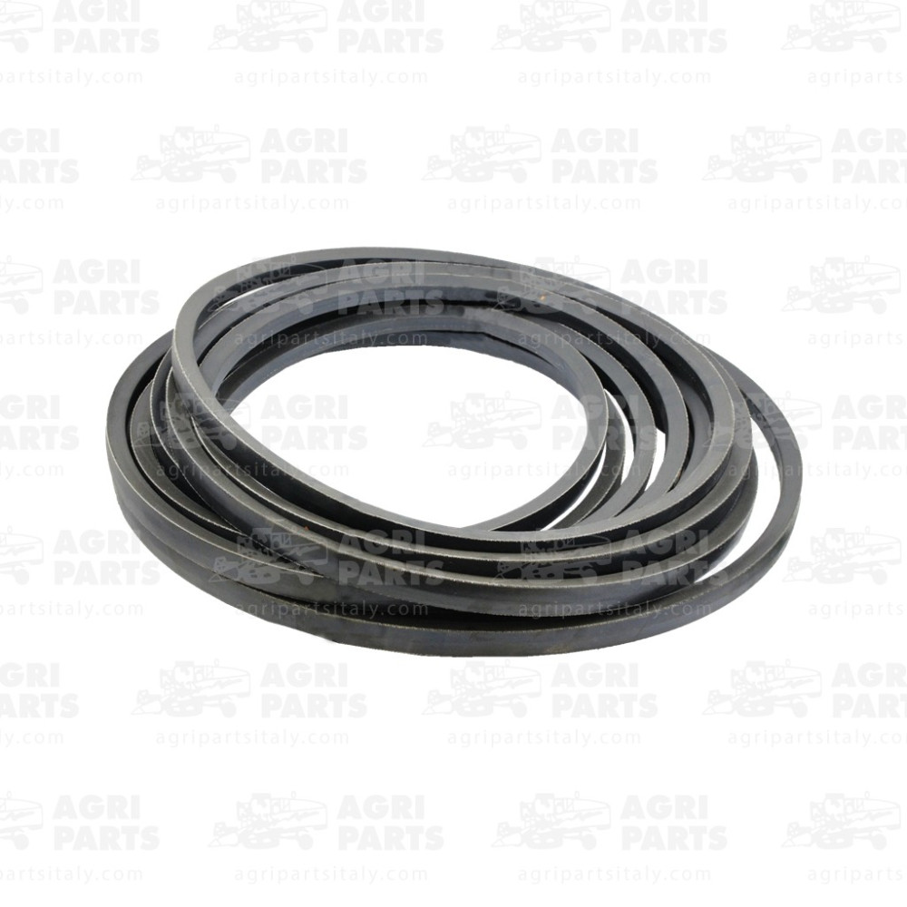 6443691 - KIT RIEMEN - 0006443691CL