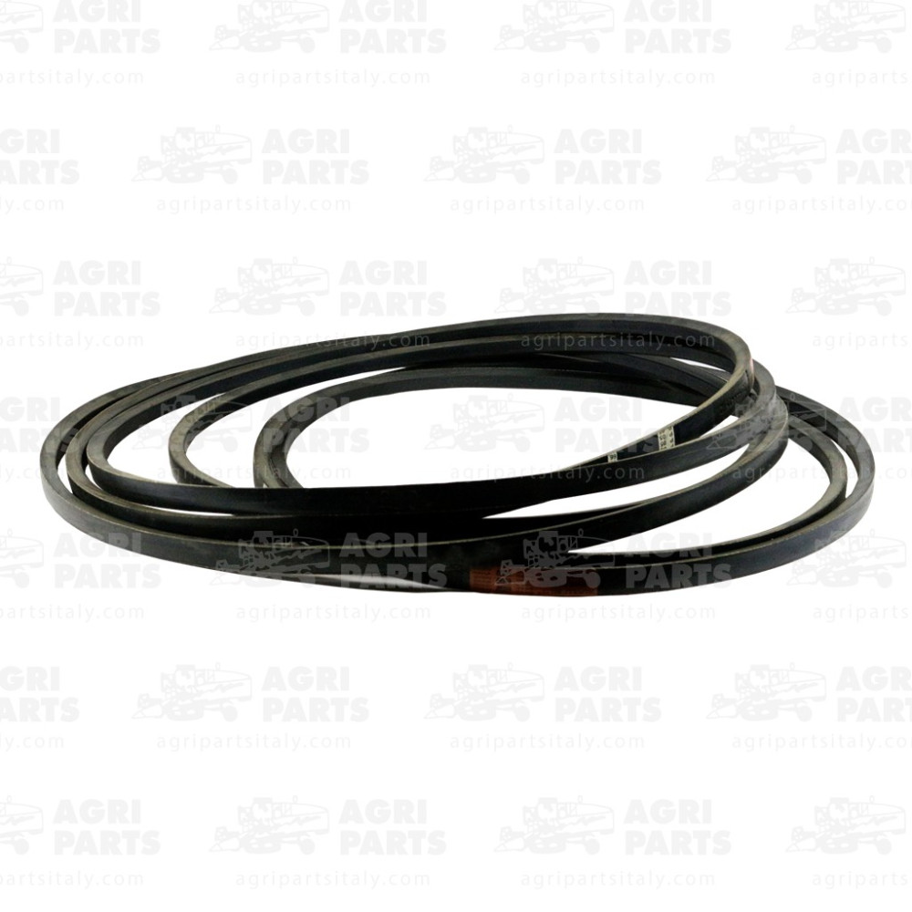 6444191 - SET CORREAS - 0006444191CL