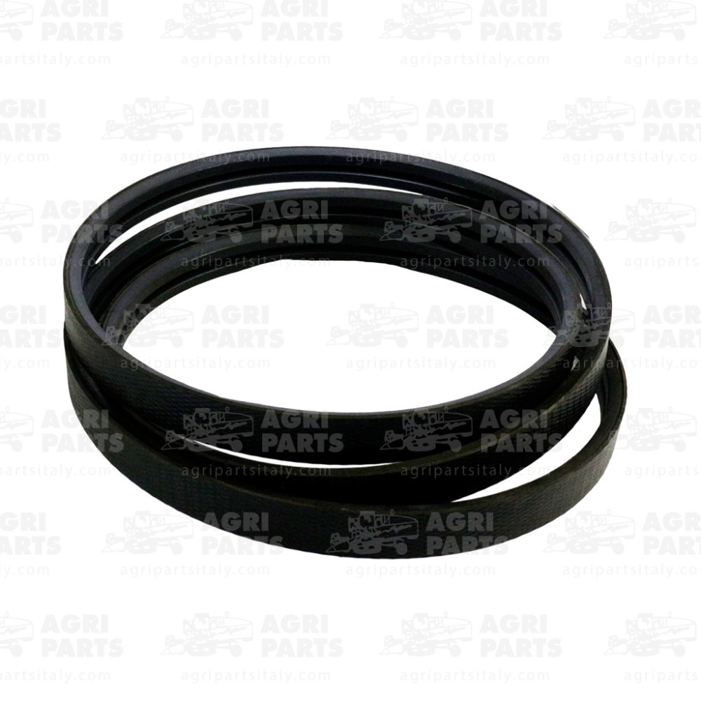 6448900 - CINGHIA (2HB) - 0006448900CL