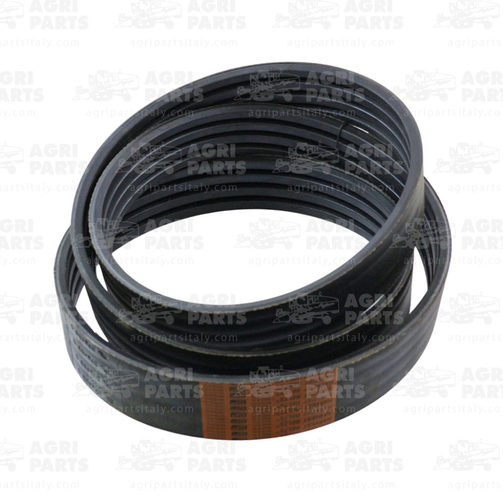 0764031 - RIEMEN - 0000764031CL