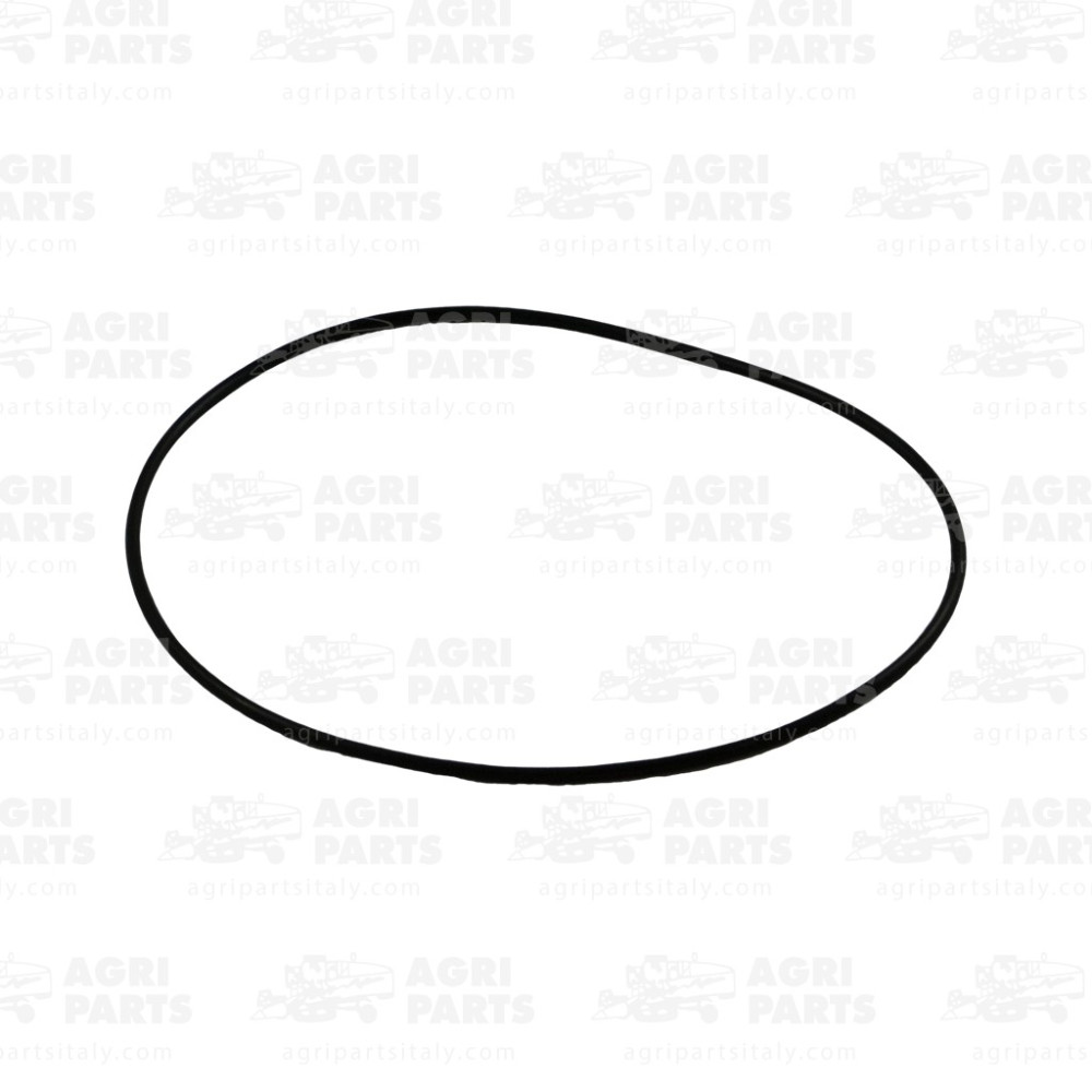 2110990 - RUNDDICHTRING - 0002110990CL
