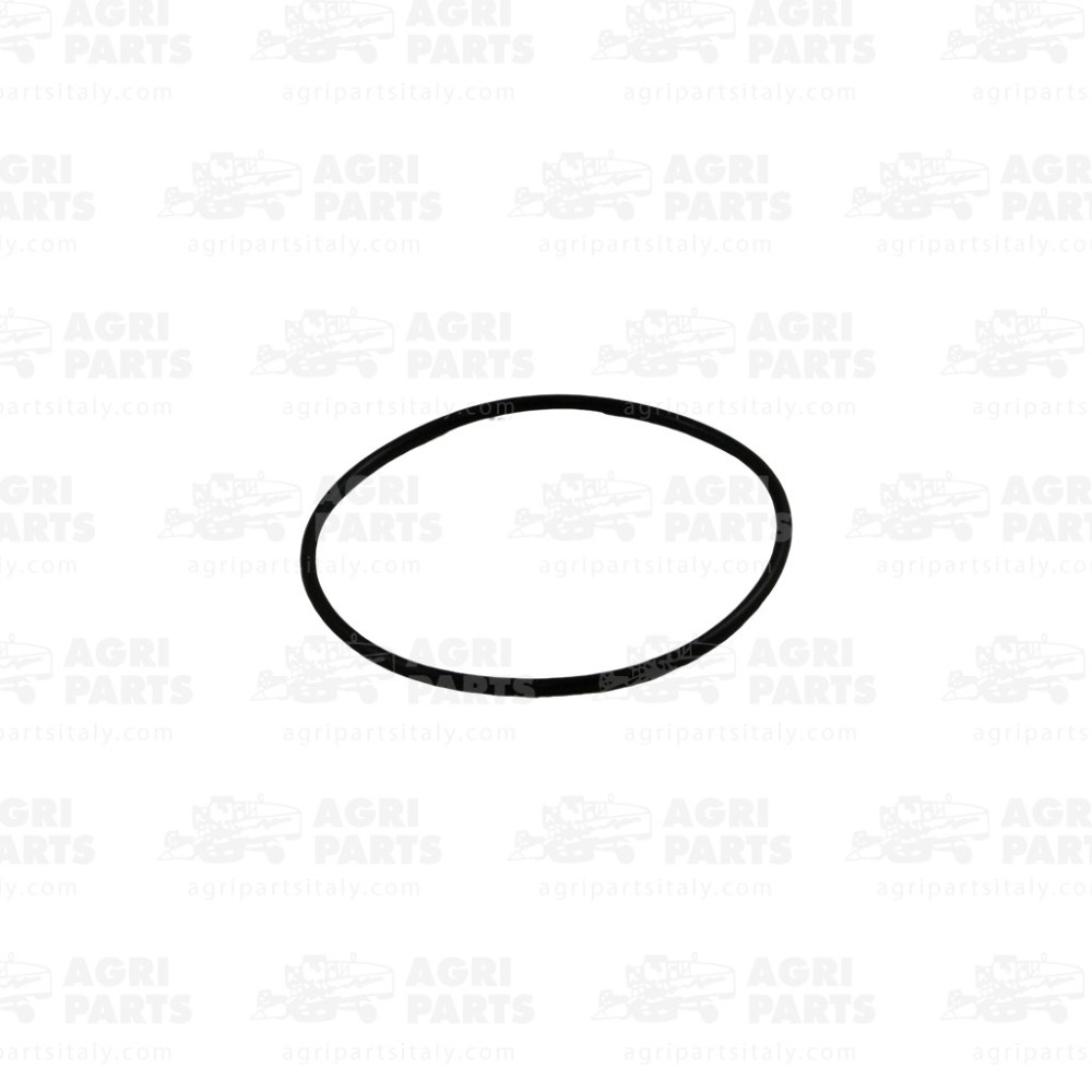 2115270 - RUNDDICHTRING - 0002115270CL