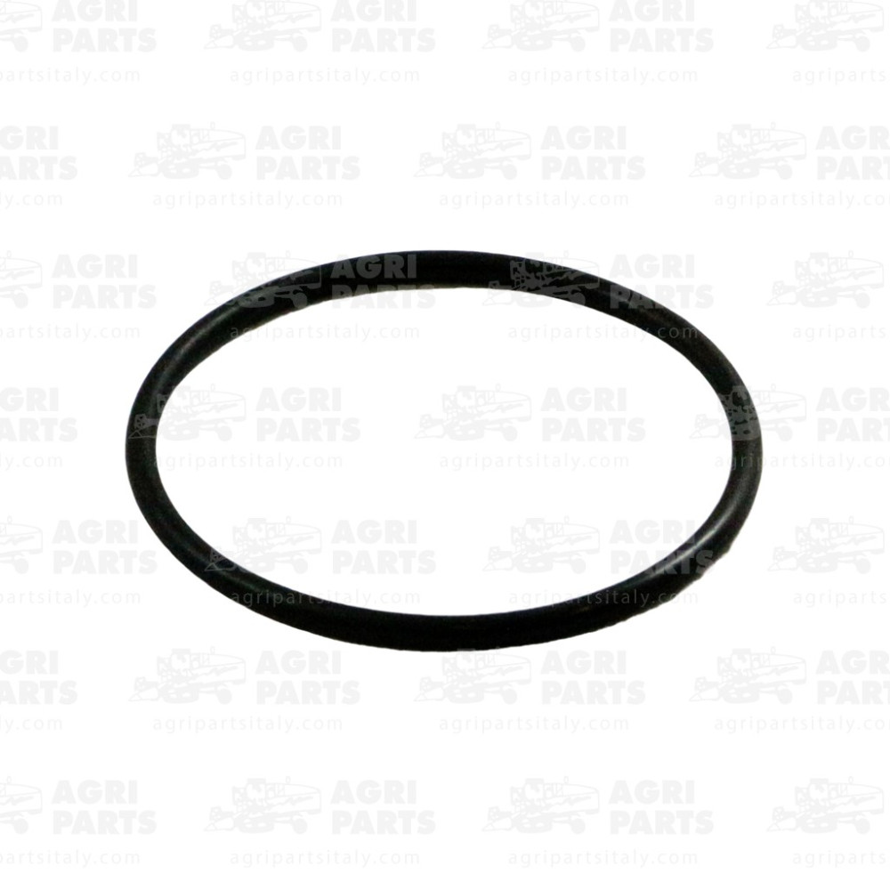 2153530 - RUNDDICHTRING - 0002153530CL