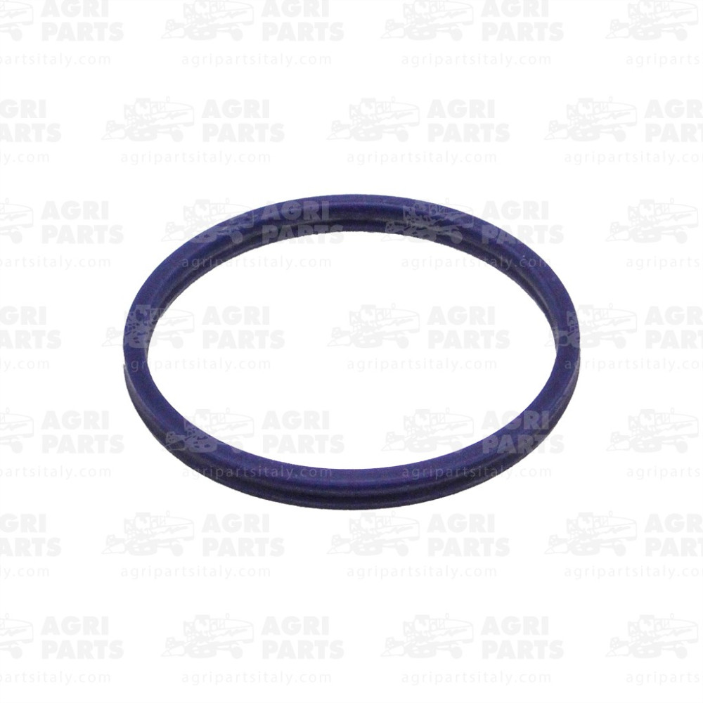 2180380 - DICHTRING - 0002180380CL