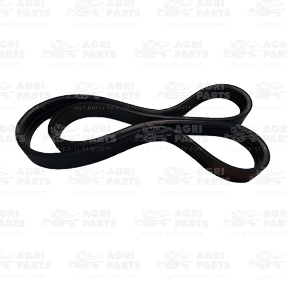 3556960 - CINGHIA MULTIPLA (2HB) - 0003556960CL