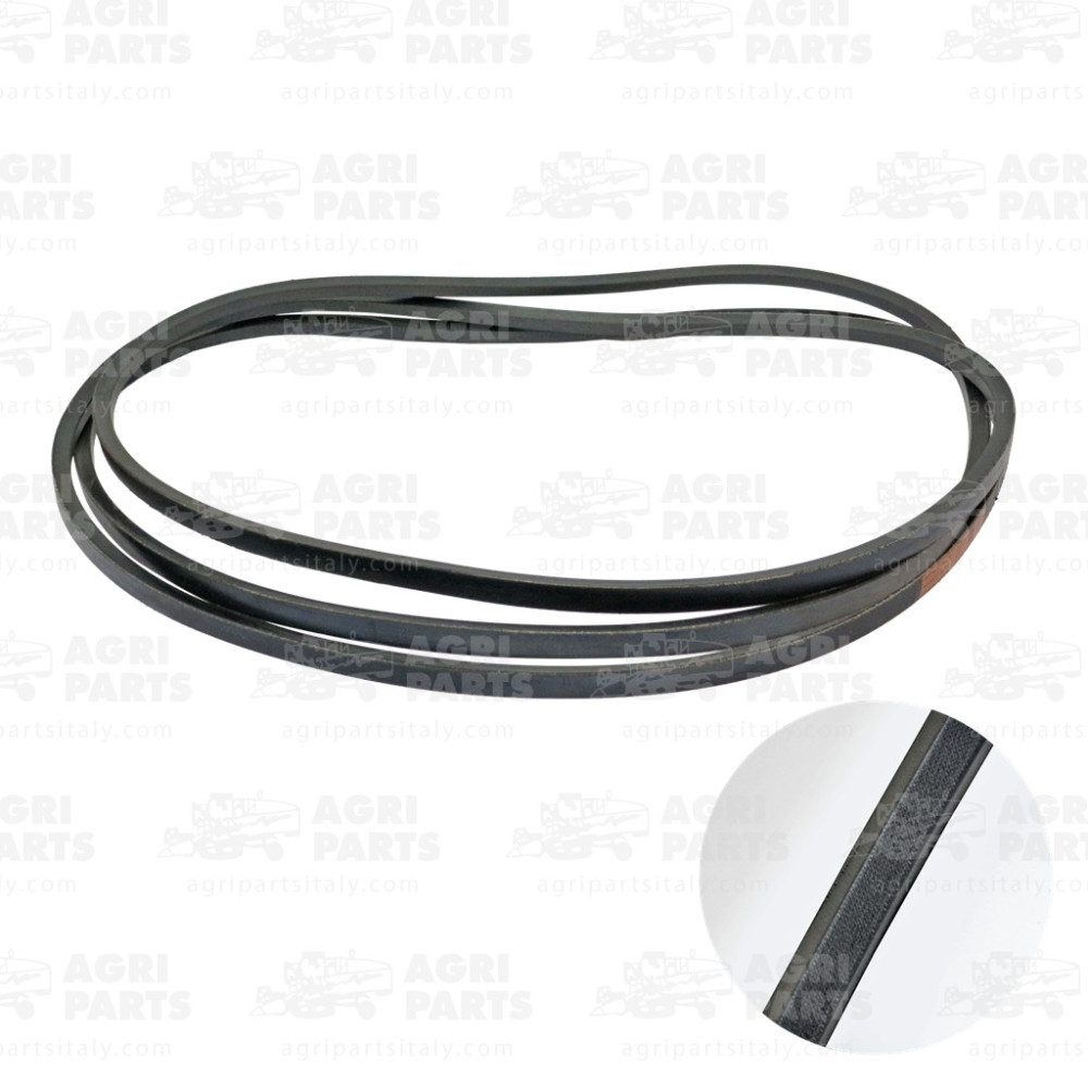 6234271 - RIEMEN - 0006234271CL