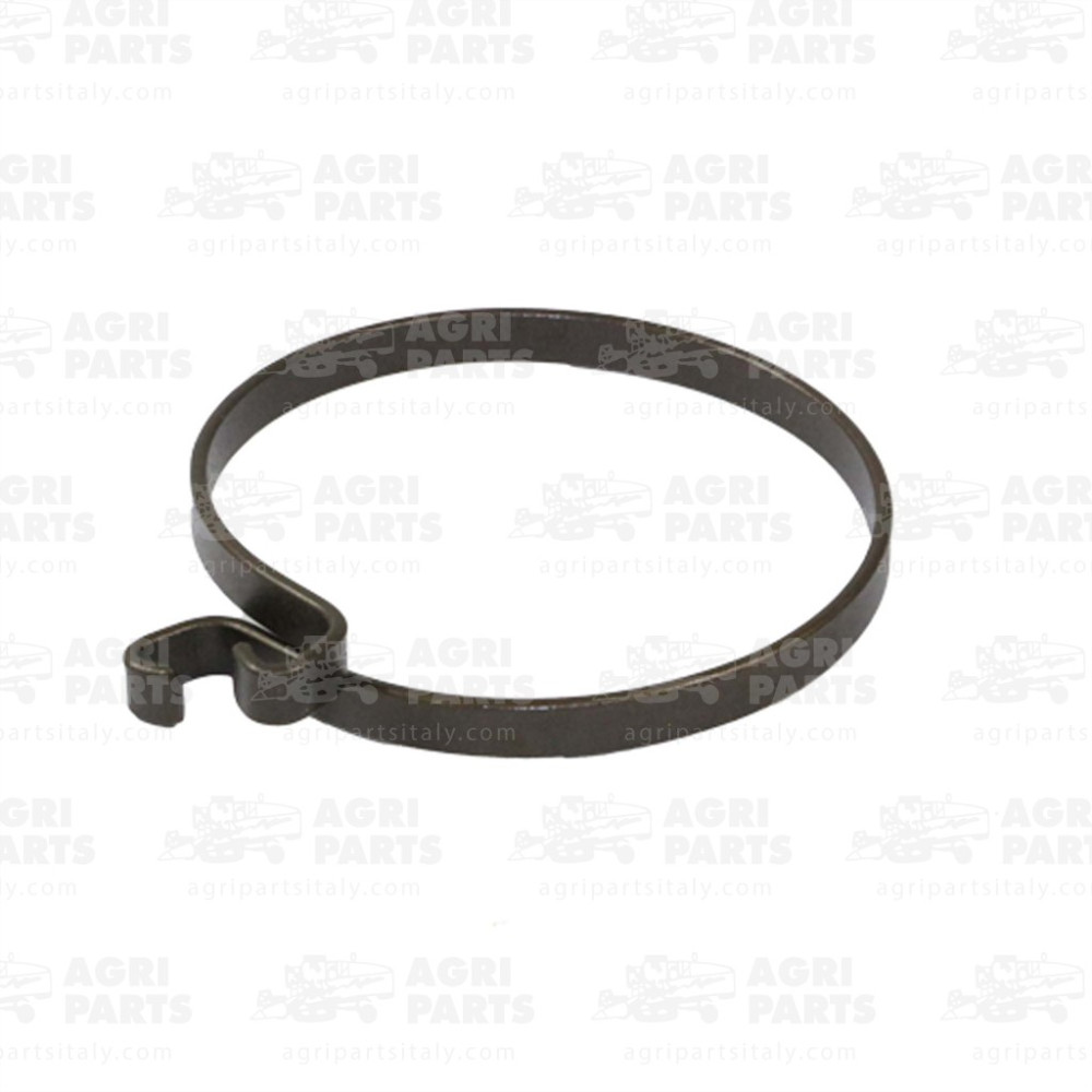 1393480 - SCHALTERFRÜHLING - 0001393480CL