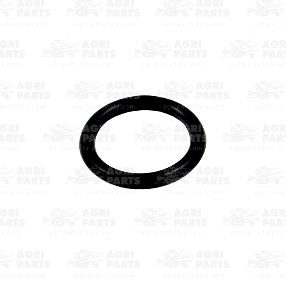 2117440 - RUNDDICHTRING - 0002117440CL