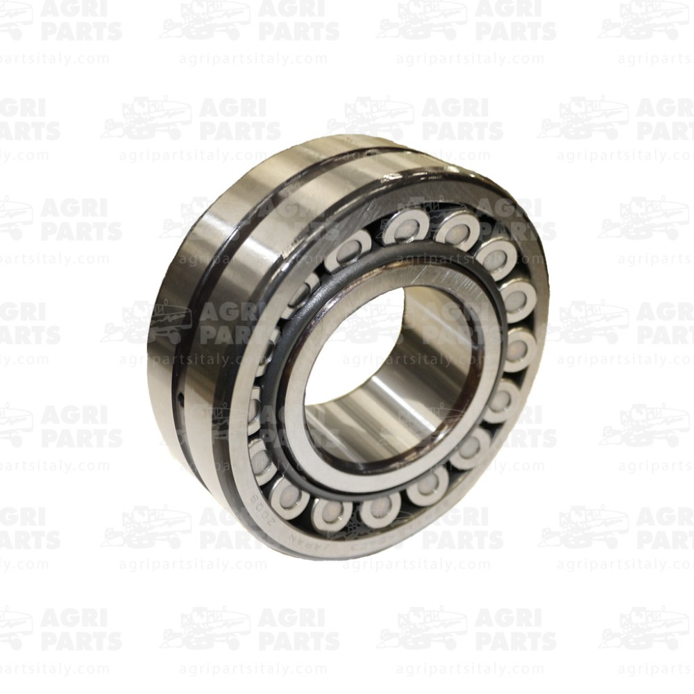 2176541 - PENDELROLLENLAGER - 0002176541CL