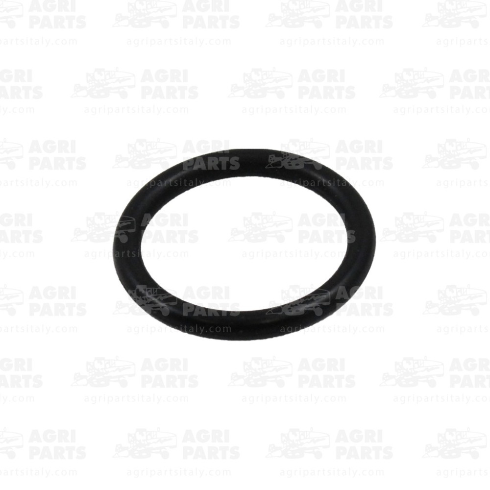 2381940 - RUNDDICHTRING - 0002381940CL