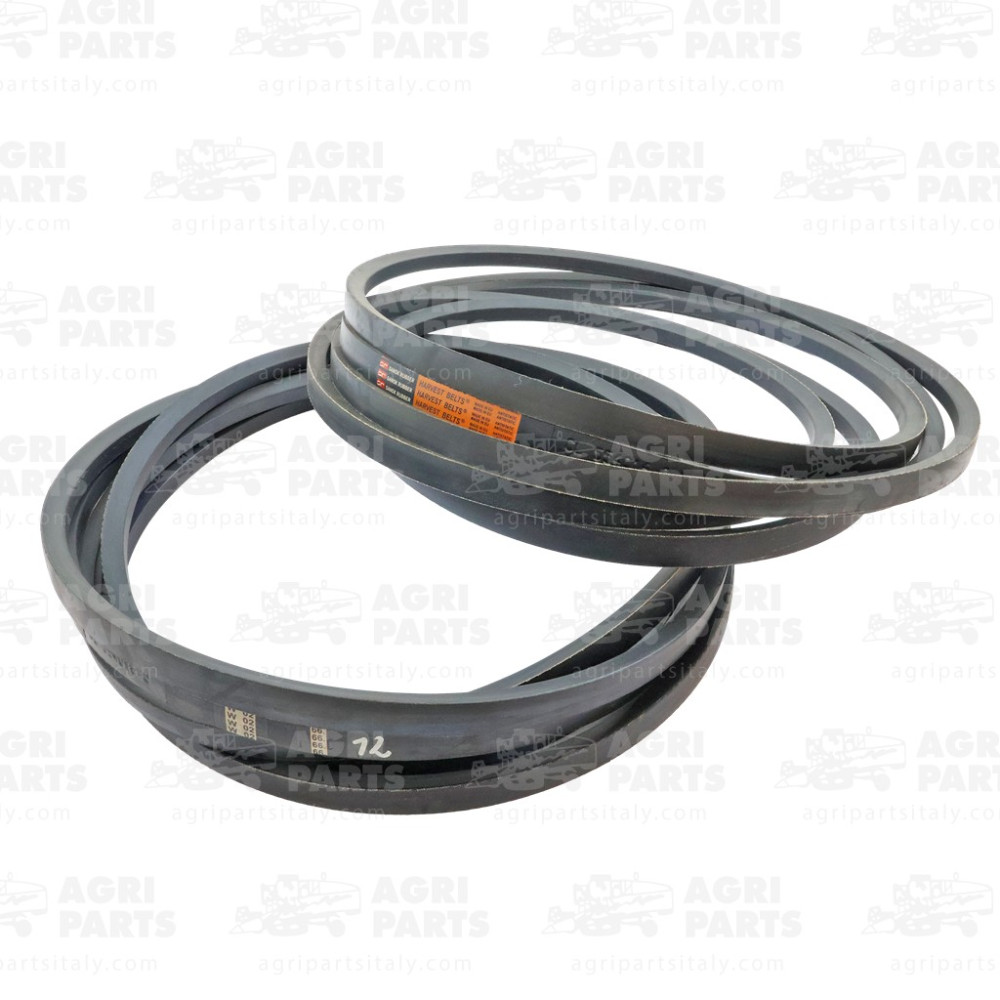 5540160 - RIEMEN - 0005540160CL