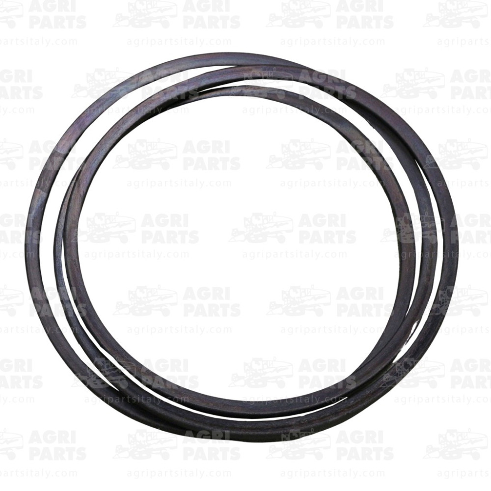 5540931 - KEILRIEMEN - 0005540931CL